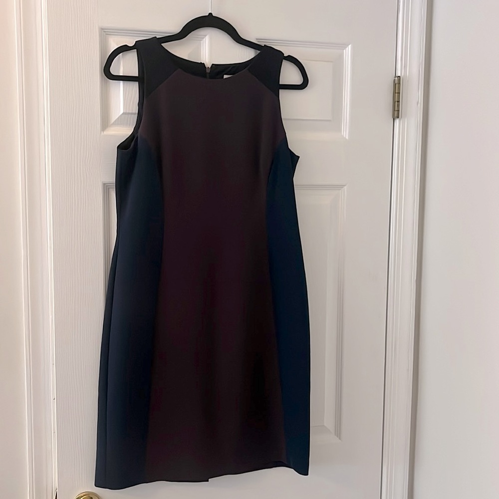 Ann Taylor LOFT dress- never worn